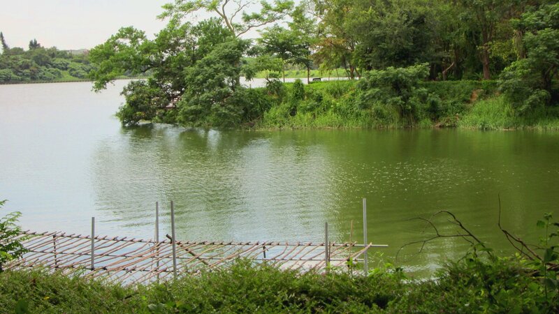 Lake with Green Water — Serene