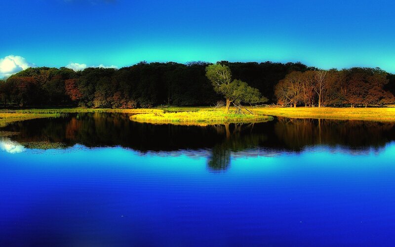 Lake with Island and Trees