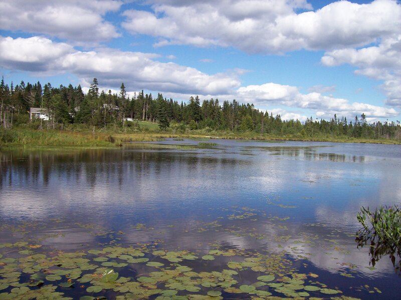 Lake with Lily Pads — Blue