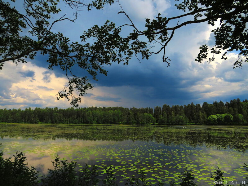 Lake with Lily Pads — Green, Dramatic