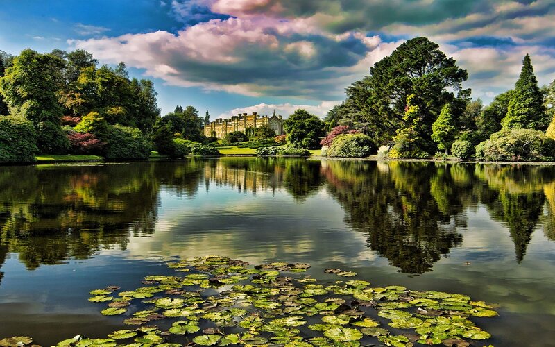 Lake with Lily Pads — Green, Serene, Afternoon, Photograph, Trees