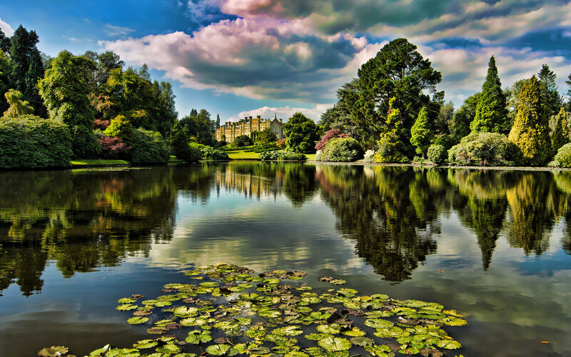 Lake with Lily Pads — Green
