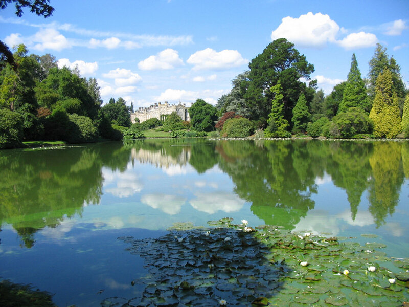 Lake with Lily Pads