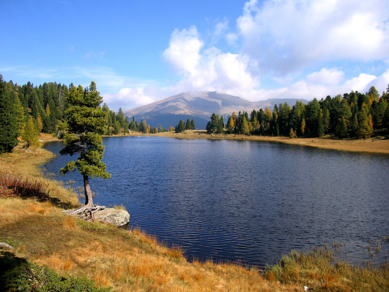 Lake with Lone Tree
