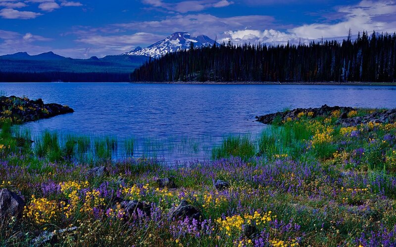 Lake with mountain and wildflowers