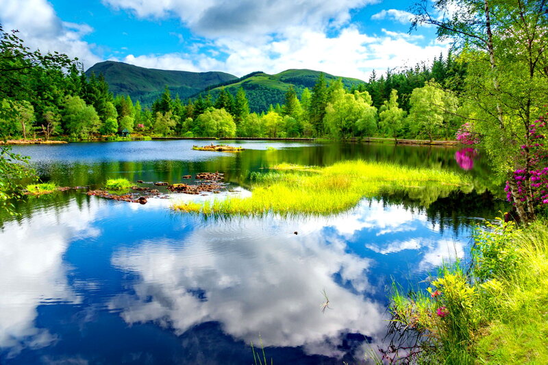 Lake with Mountain Reflection — Blue, Serene, Afternoon, Photograph, Mountains, Trees, Flowers