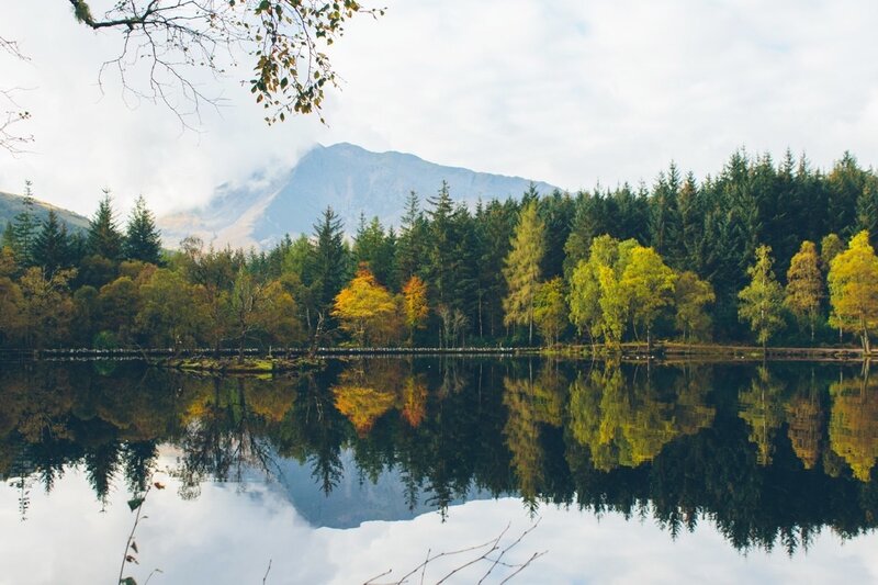 Lake with Mountain Reflection — Green, Serene, Autumn, Photograph, Forest