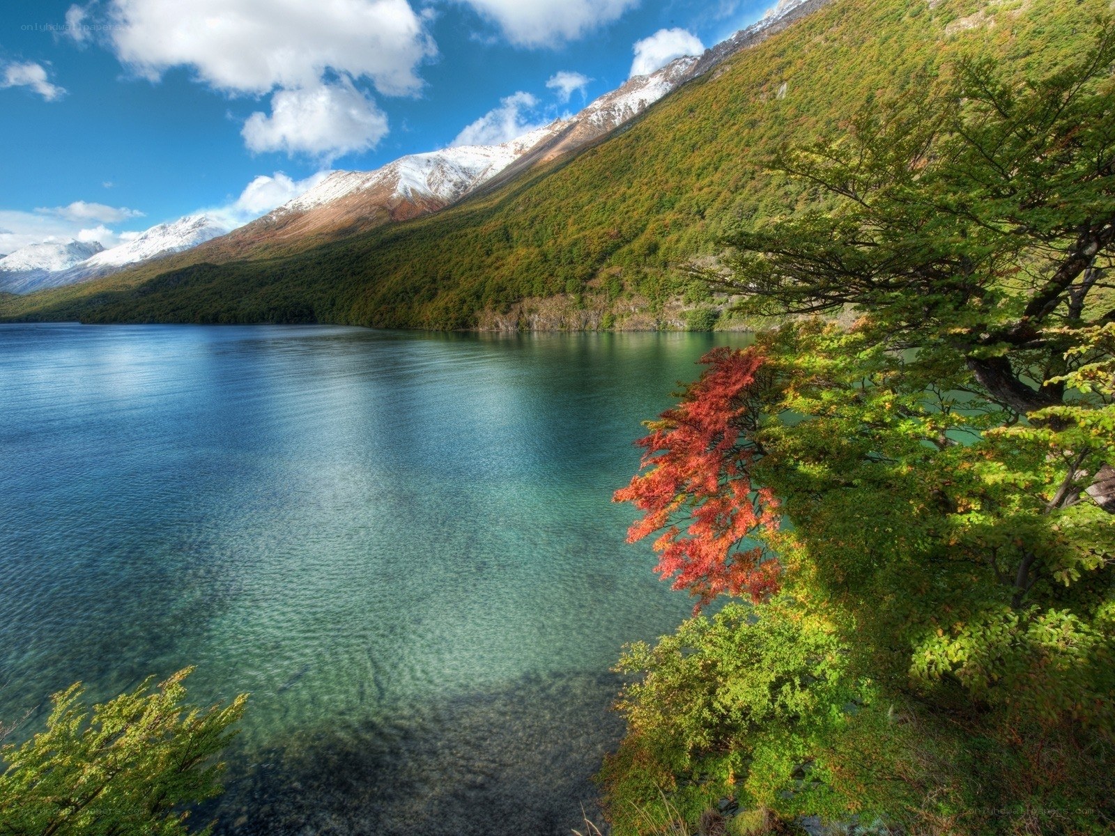 Lake with mountains and autumn trees