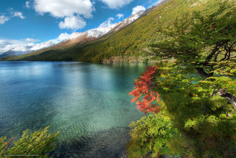 Lake with mountains and autumn trees