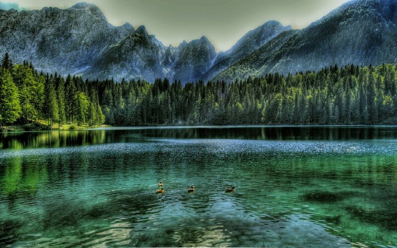 Lake with mountains and ducks