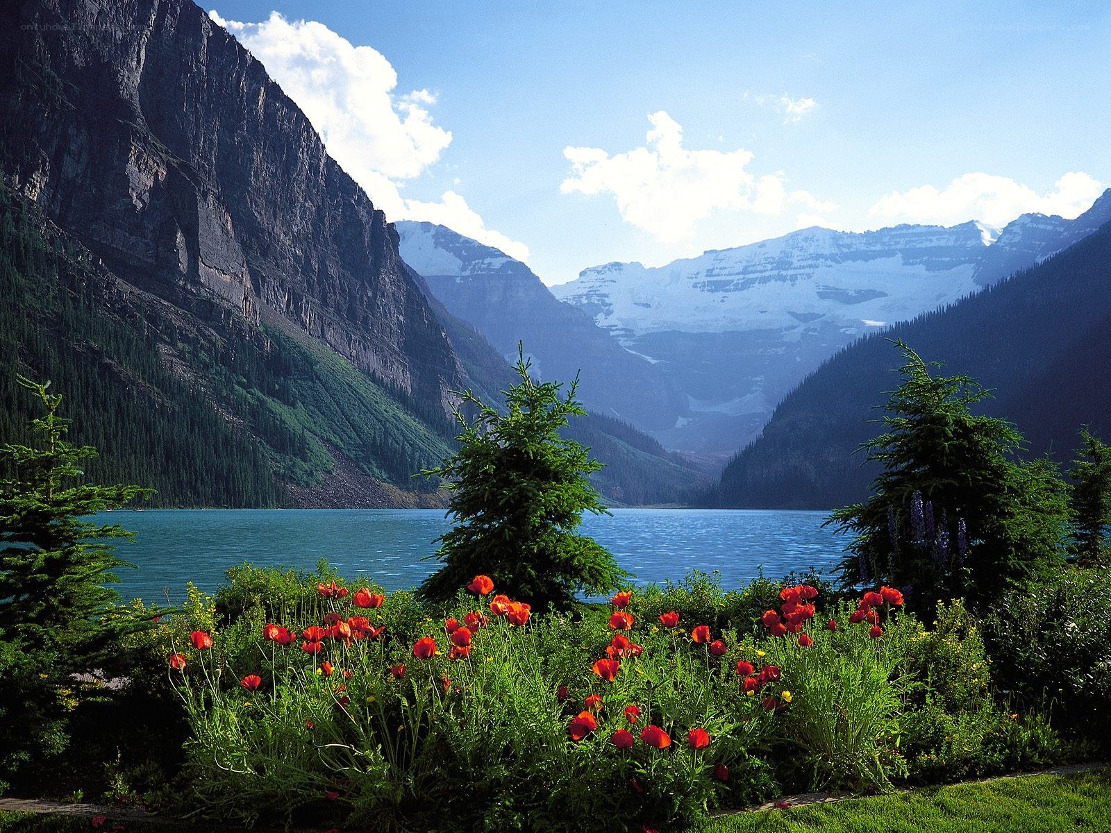 Lake with mountains and flowers