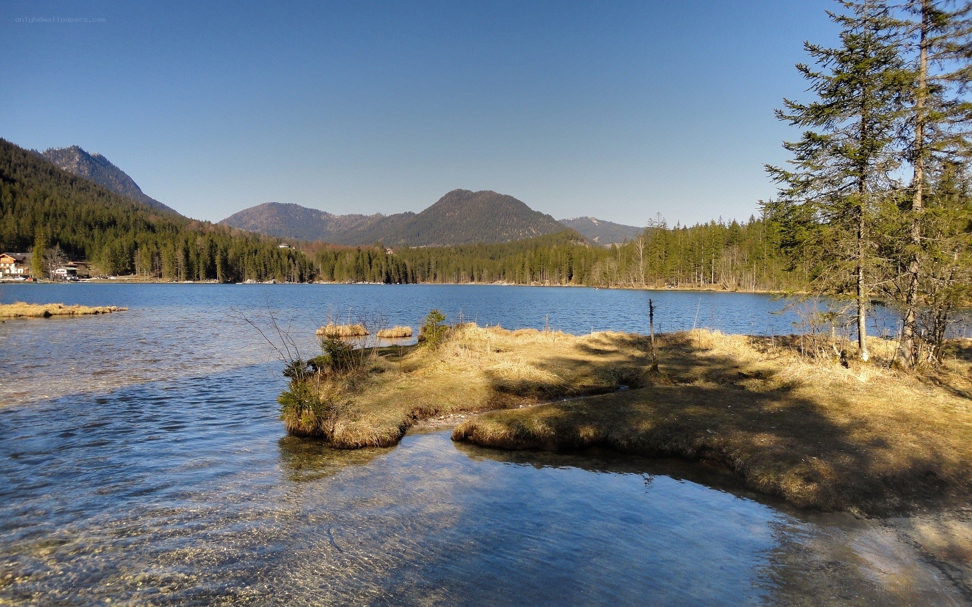 Lake with mountains and forest