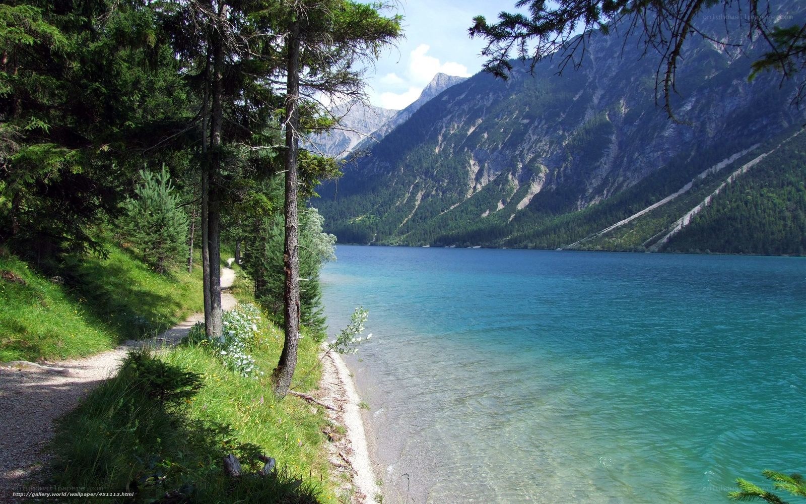 Lake with mountains and forest