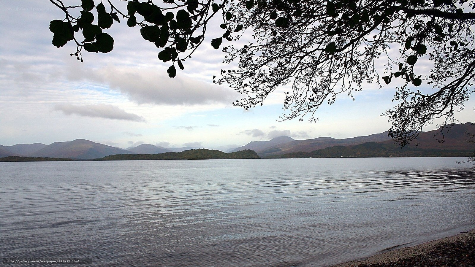 Lake with mountains and tree branches