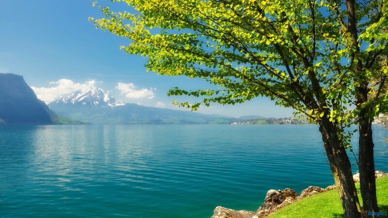 Lake with mountains and tree