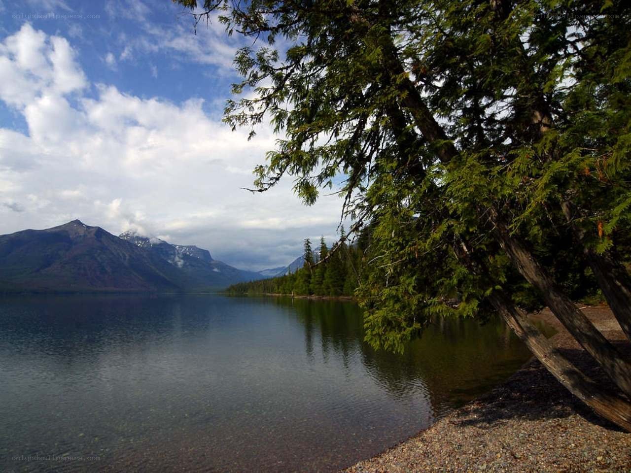 Lake with mountains and trees