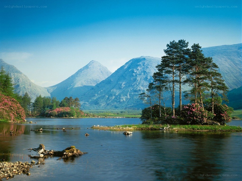 Lake with mountains and trees