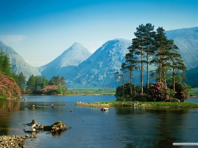 Lake with Mountains — Blue, Serene, Afternoon, Photograph, Trees, Flowers