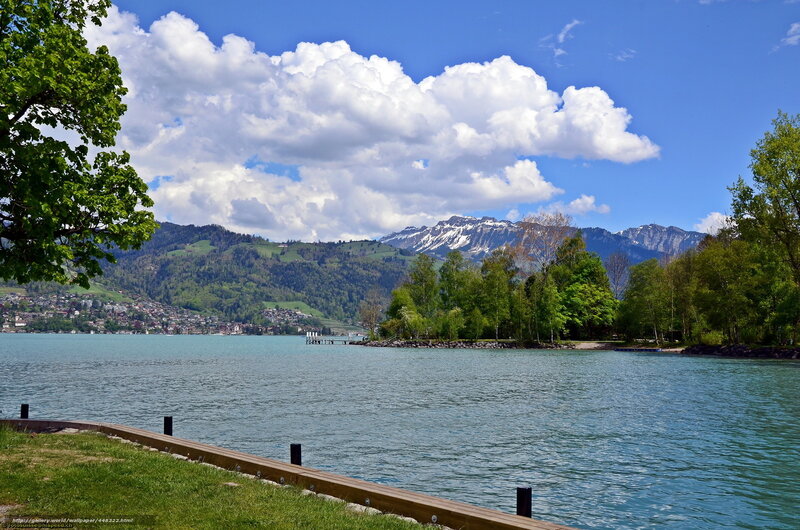 Lake with Mountains — Blue, Serene, Summer, Photograph, Trees