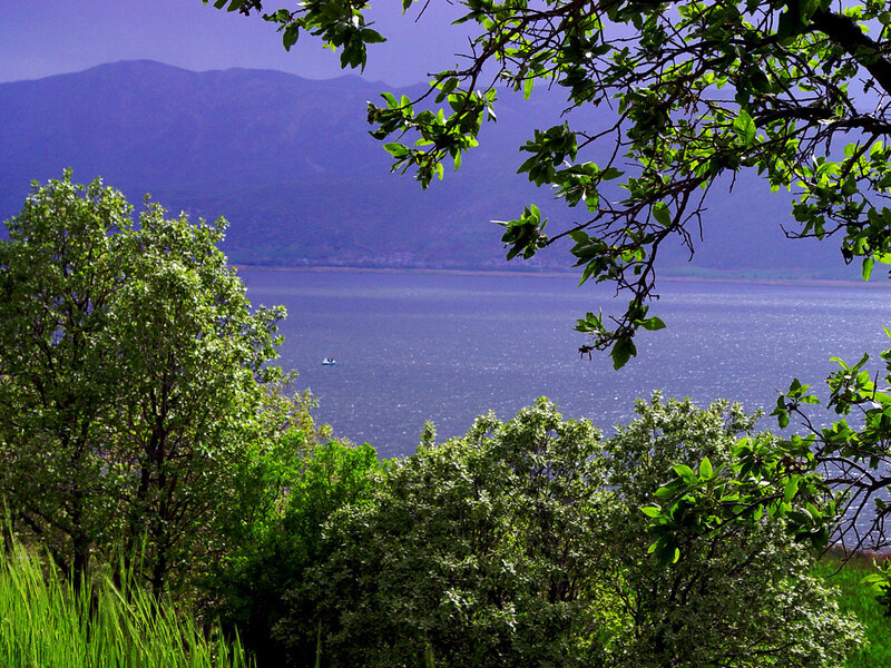 Lake with Mountains — Green, Serene, Afternoon