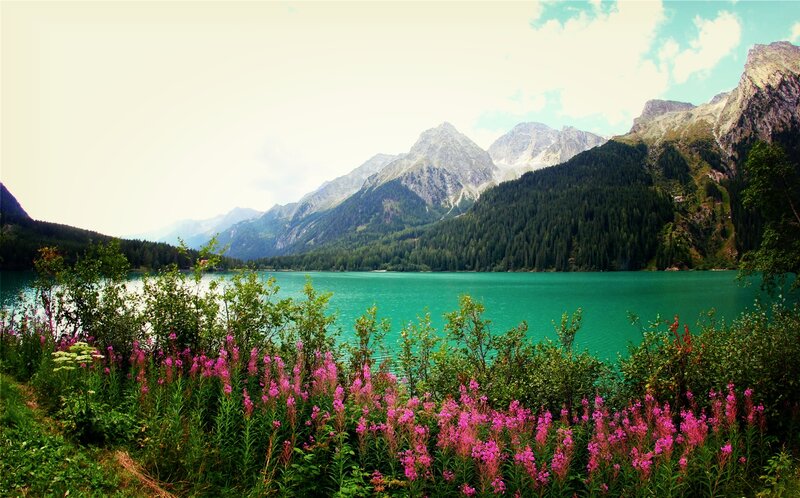 Lake with Mountains — Green, Serene, Summer, Photograph