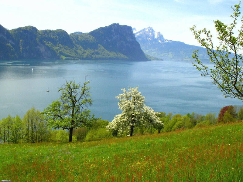 Lake with Mountains — Green, Serene