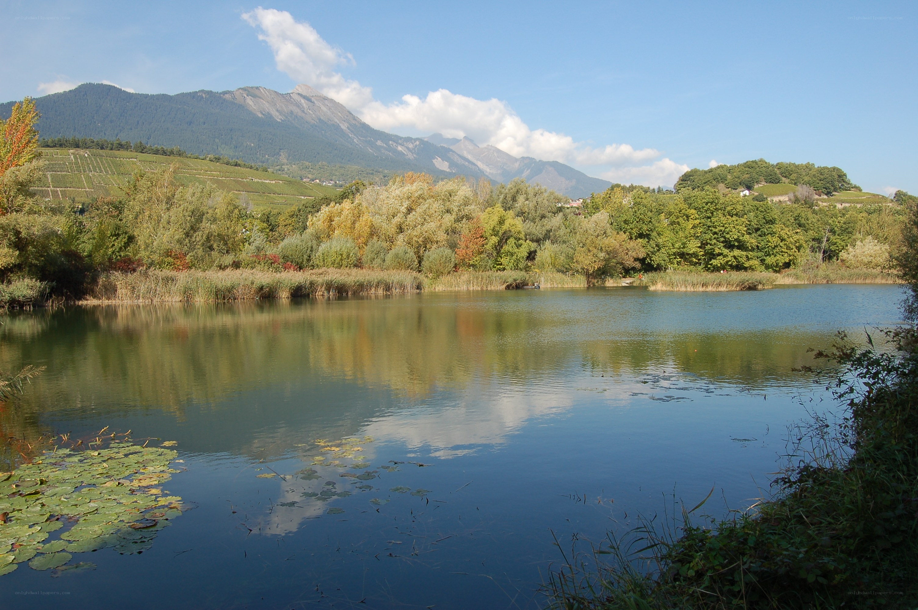 Lake with mountains in background