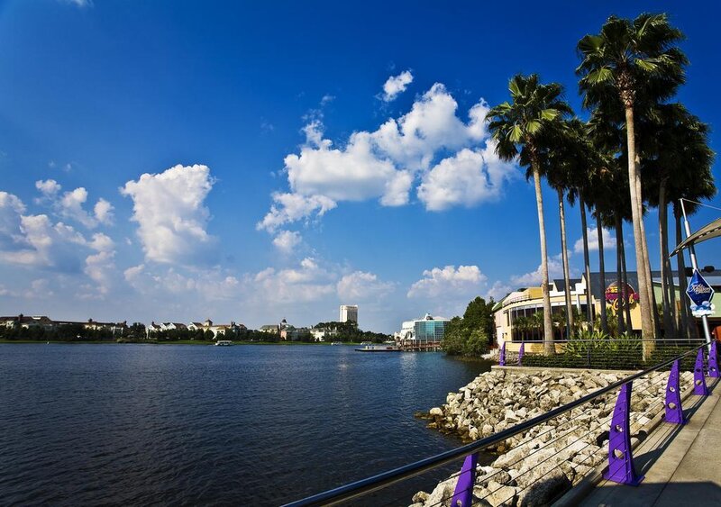 Lake with palm trees and buildings