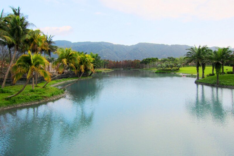 Lake with Palm Trees