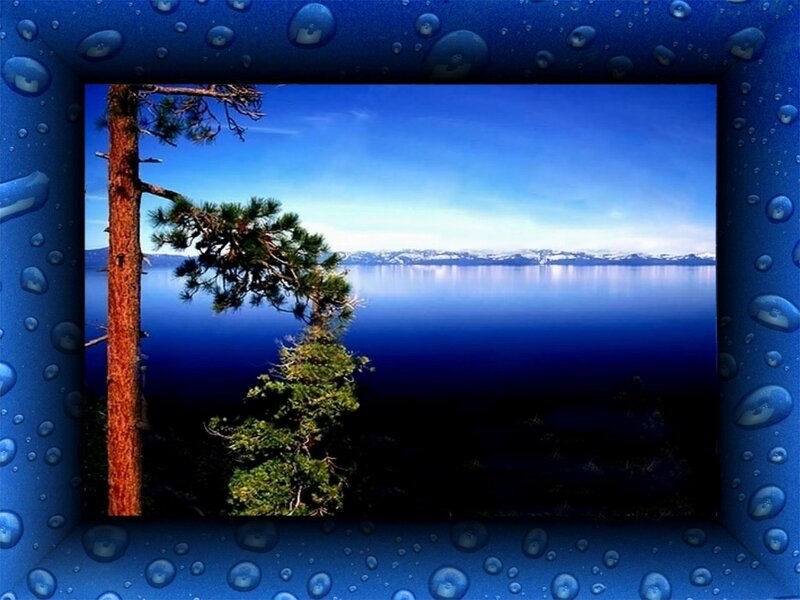 Lake with pine tree view