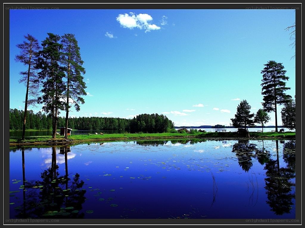 Lake with pine trees and reflections