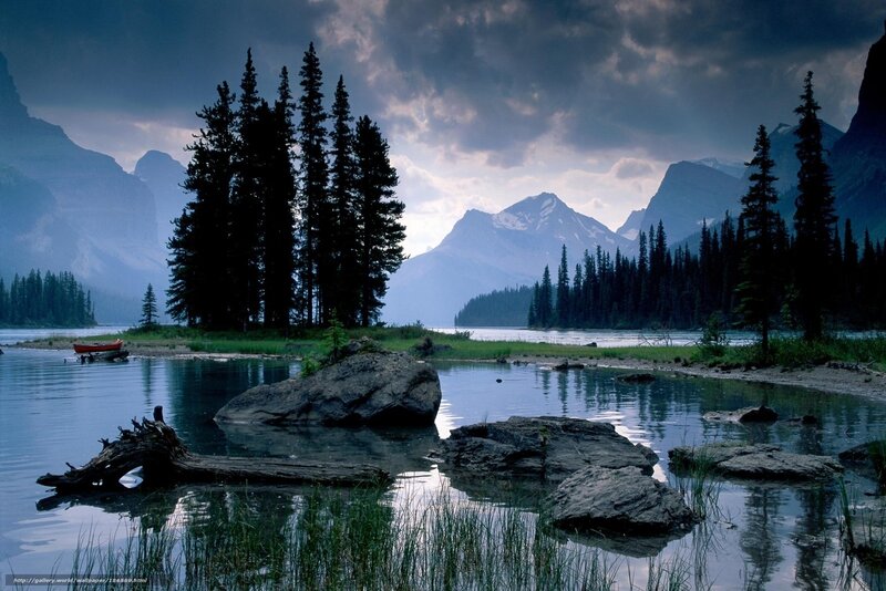 Lake with Pine Trees — Blue, Dramatic