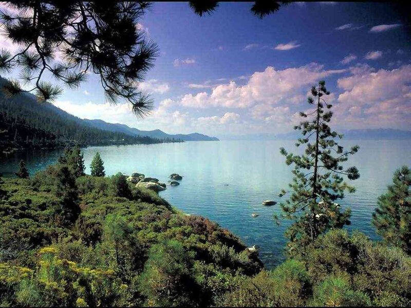 Lake with Pine Trees — Blue, Serene, Afternoon, Photograph