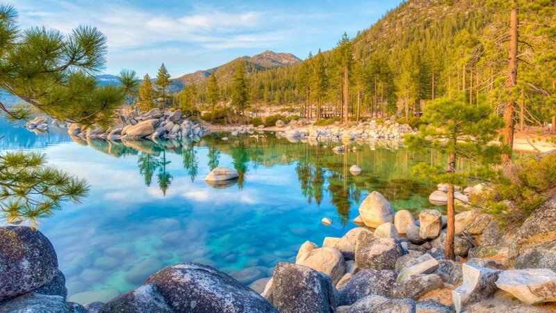 Lake with Pine Trees — Blue