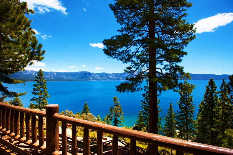 Lake with Pine Trees