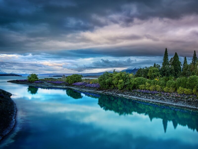 Lake with Purple Flowers