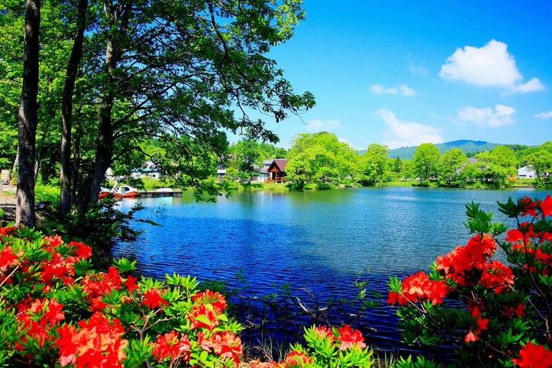 Lake with Red Flowers