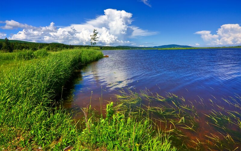Lake with Reeds and Clouds