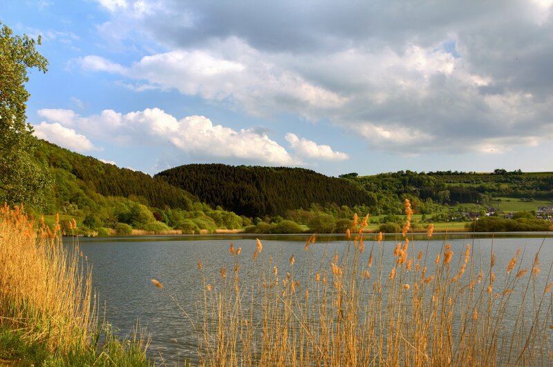 Lake with reeds and forested hills