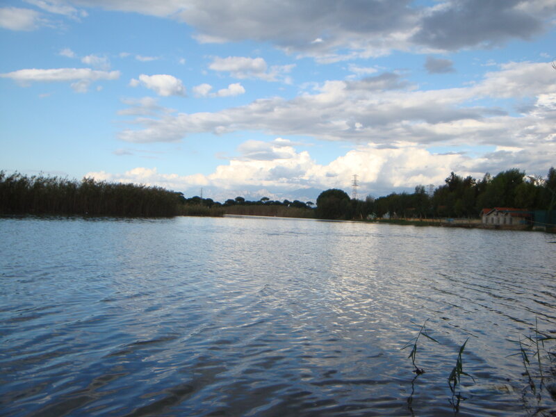 Lake with Reeds and Mountains — Blue, Calm