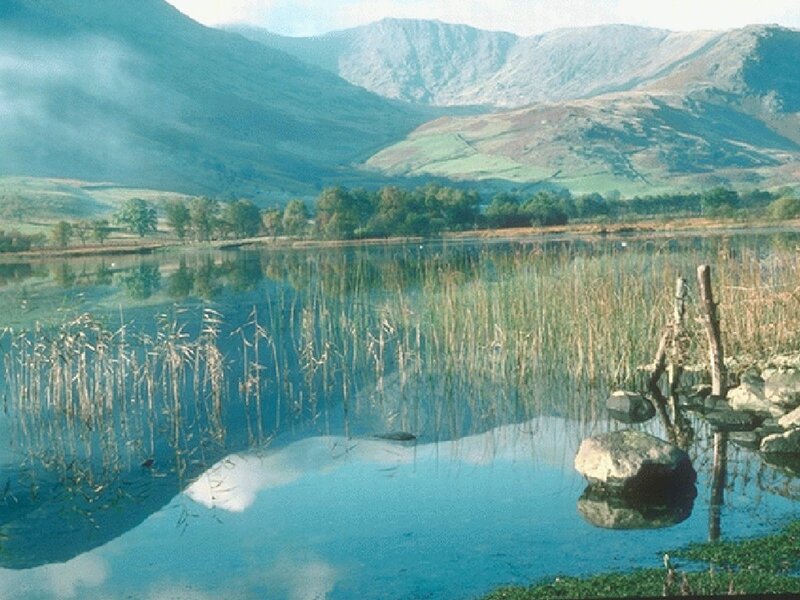 Lake with Reeds and Mountains — Blue, Serene, Afternoon, Photograph, Trees