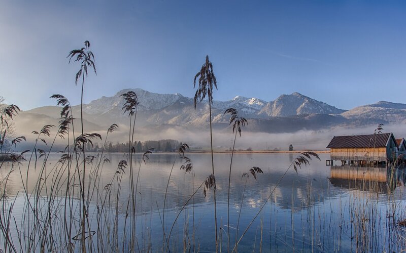 Lake with Reeds and Mountains — Blue, Serene