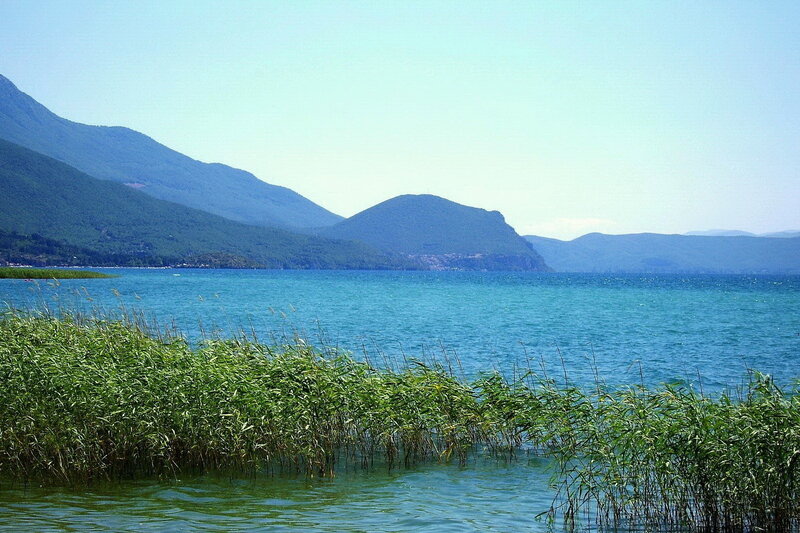 Lake with Reeds and Mountains — Blue