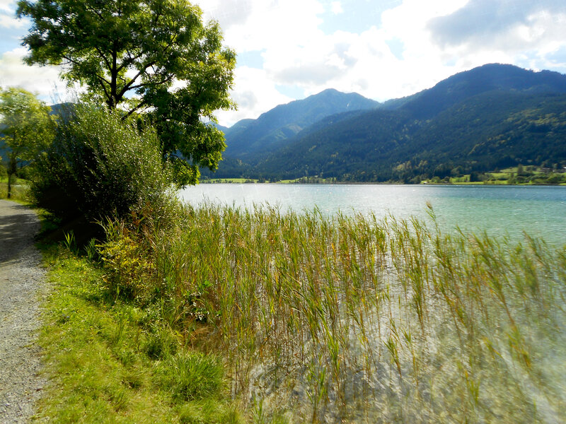 Lake with Reeds and Mountains — Green, Serene