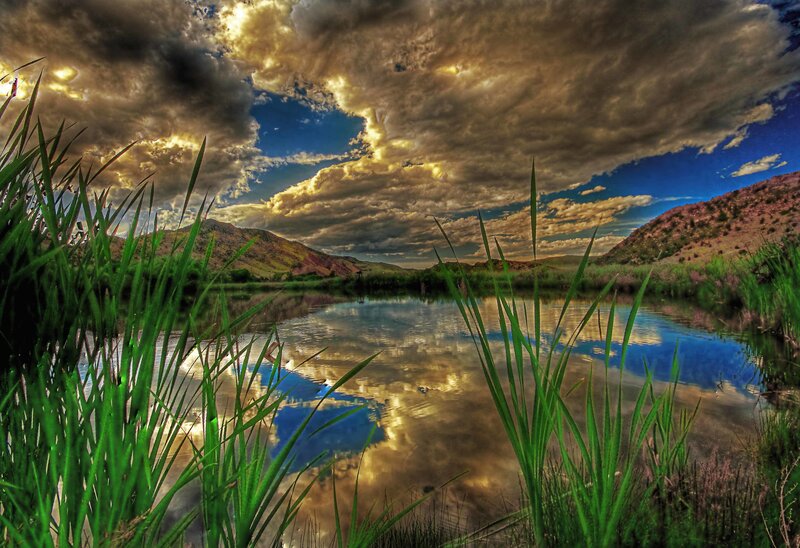 Lake with Reeds and Mountains — Green