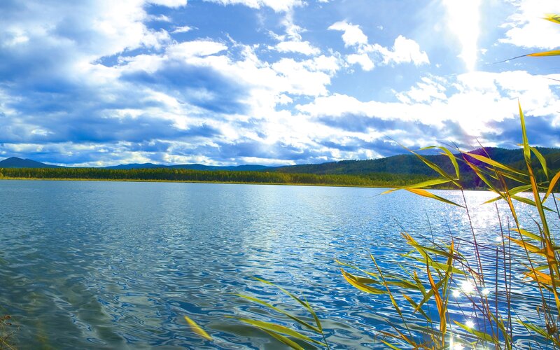 Lake with reeds and mountains