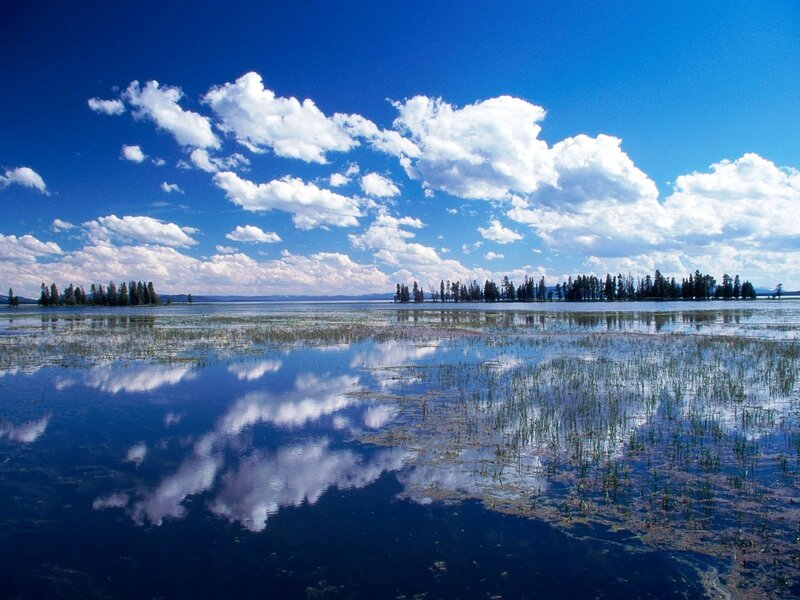 Lake with Reeds and Trees — Blue, Serene, Afternoon, Photograph, Clouds, Sky