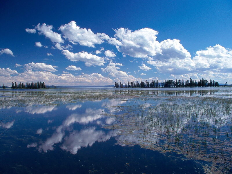 Lake with Reeds and Trees — Blue, Serene, Afternoon, Photograph, Clouds