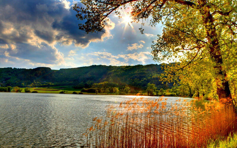 Lake with Reeds and Trees — Blue