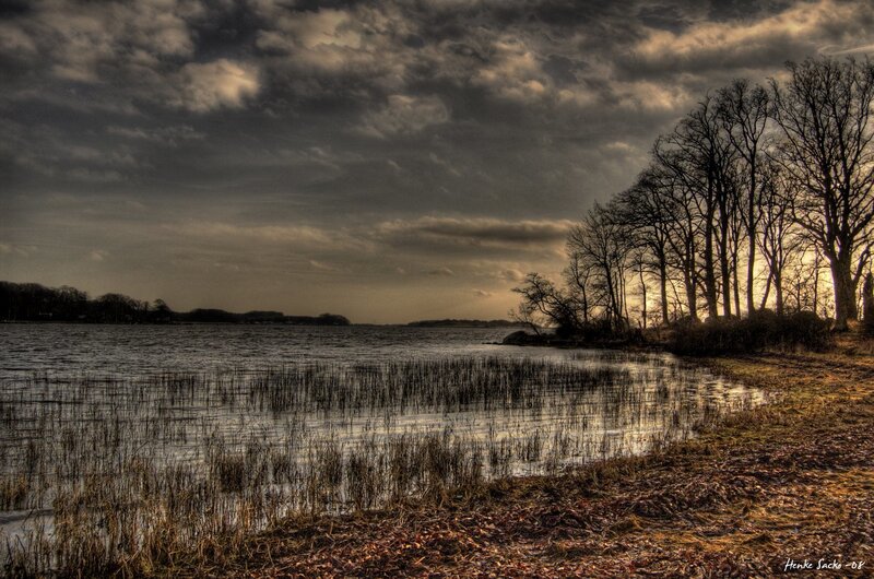 Lake with Reeds and Trees — Brown